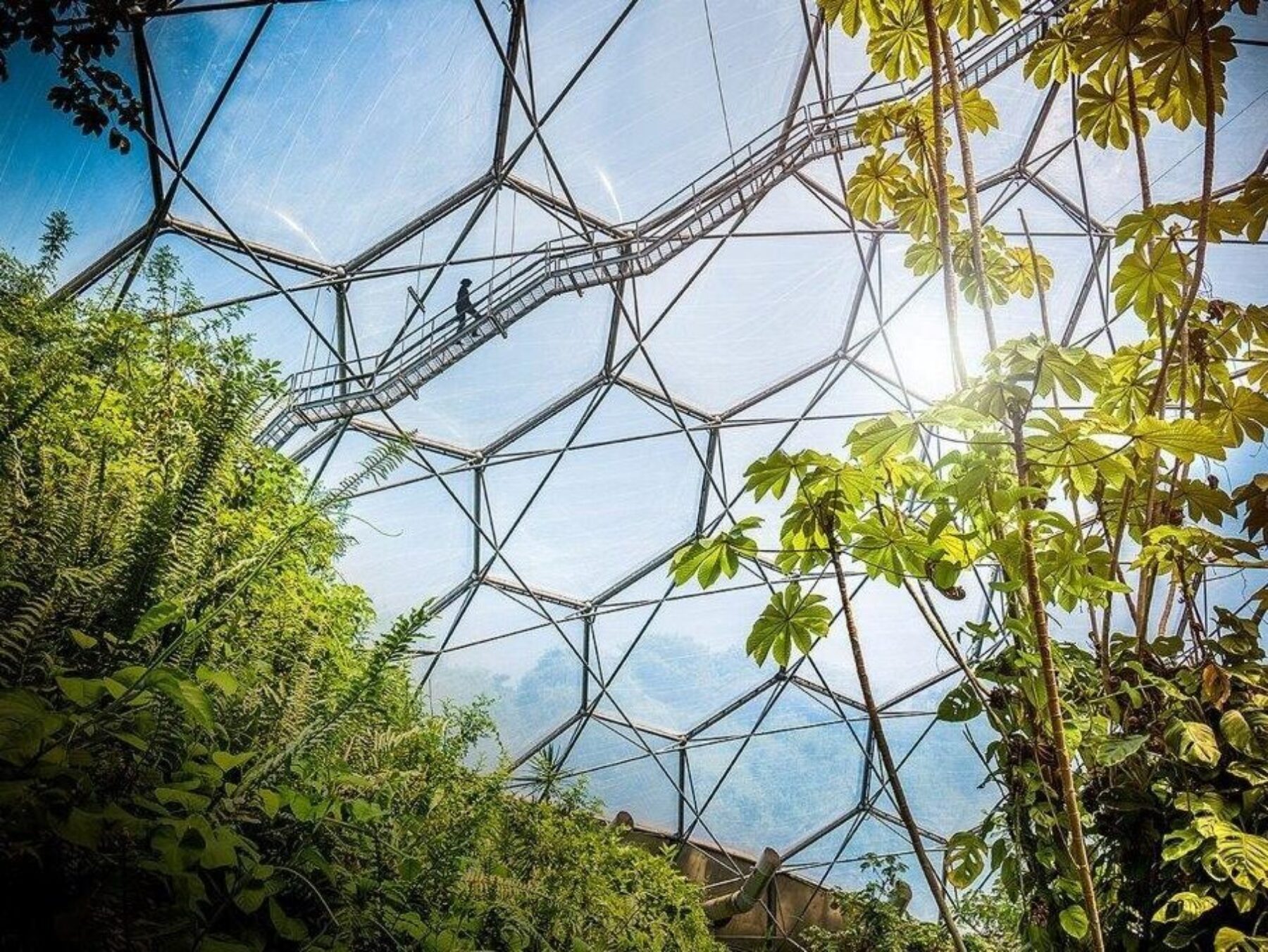 Nachhaltigkeit bei Berenberg