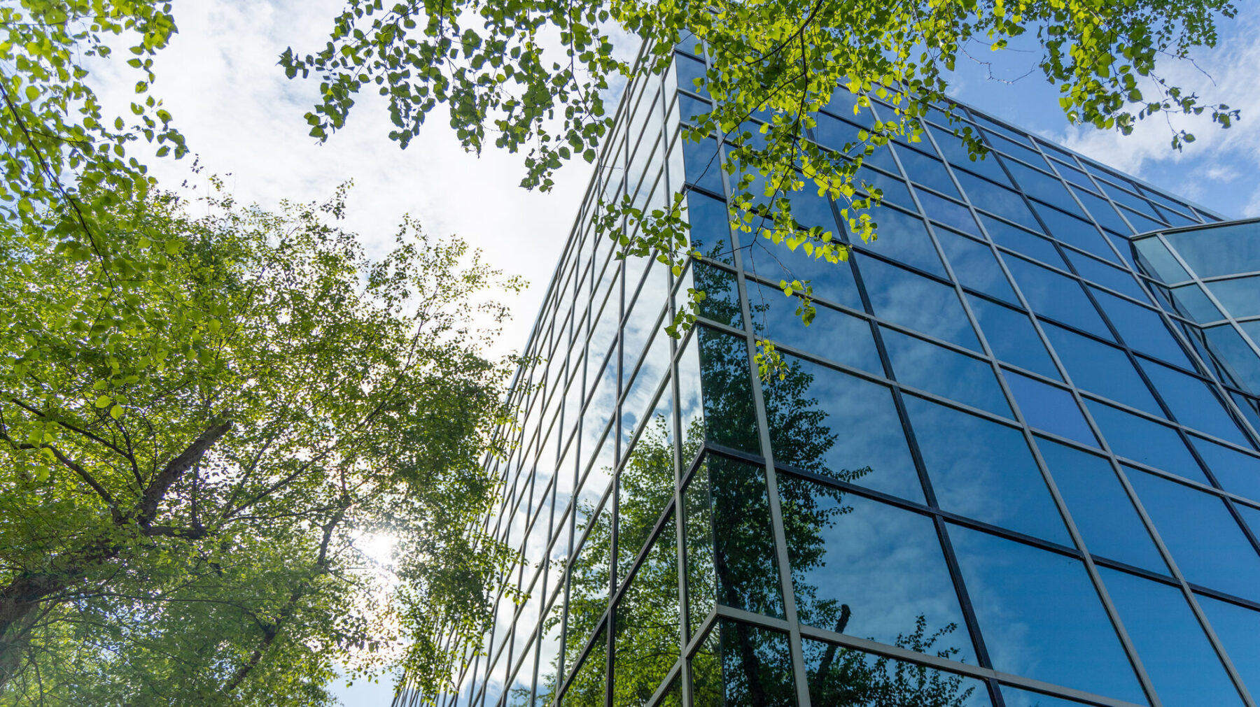 Berenberg Immobilien, Land- & Forstwirtschaft